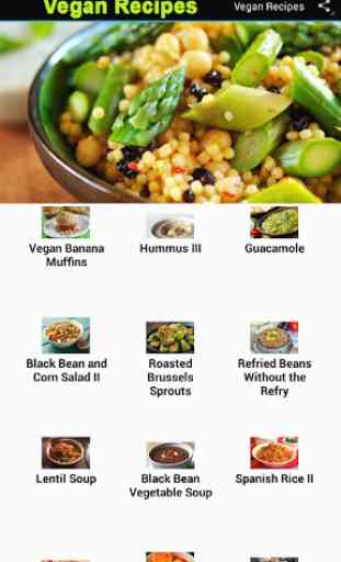 40+ Vegan Recipes & Meals 2