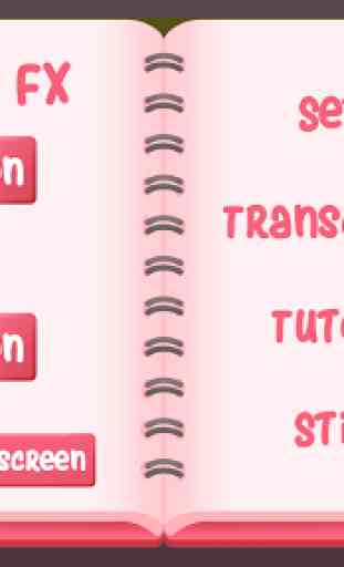 Cosette's Cassettes 2