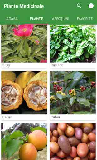 Plante Medicinale 2