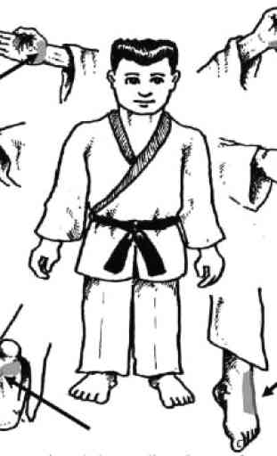 Aprenda Karate 1