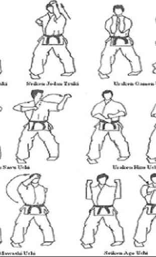 Aprenda Karate 3