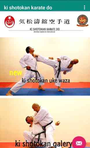 Shotokan Karate 3