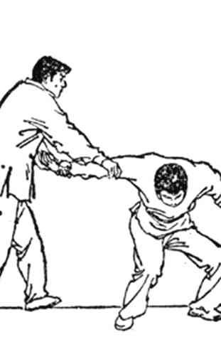 Técnica de kung fu 4