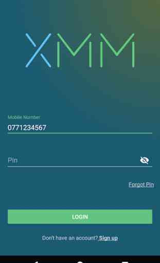XMM - Cross Mobile Money 1