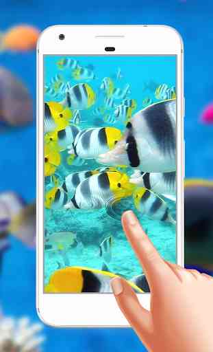 Aquarium Magic Touch Live Wallpaper 3