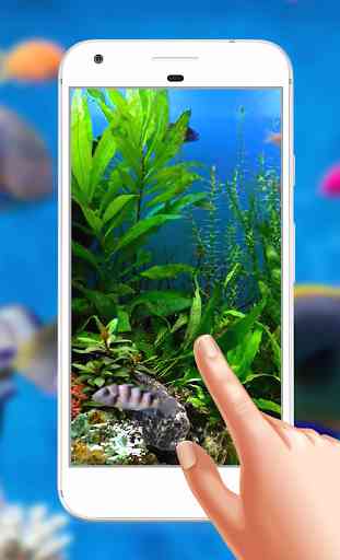 Aquarium Magic Touch Live Wallpaper 4