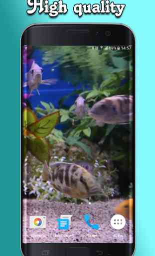 Aquarium Video Wallpaper 2