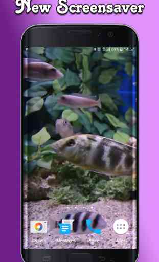Aquarium Video Wallpaper 3