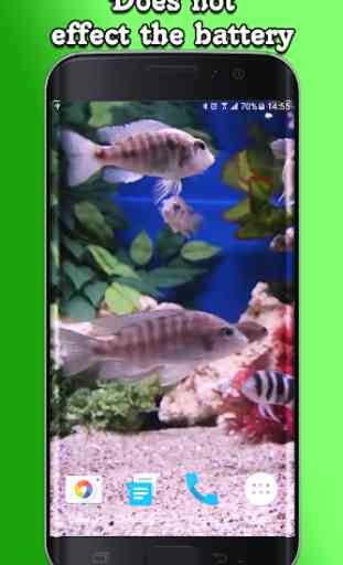 Aquarium Video Wallpaper 4
