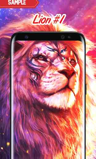 Lion Wallpaper 2