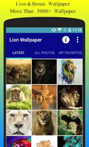 Lion Wallpaper HD Free 1