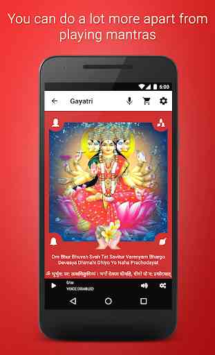 Mantra Shakti - Puja App 4