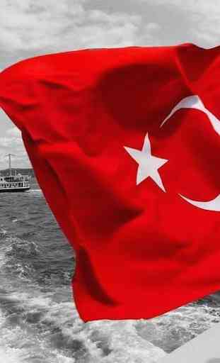 Turkish Flag Wallpapers 3