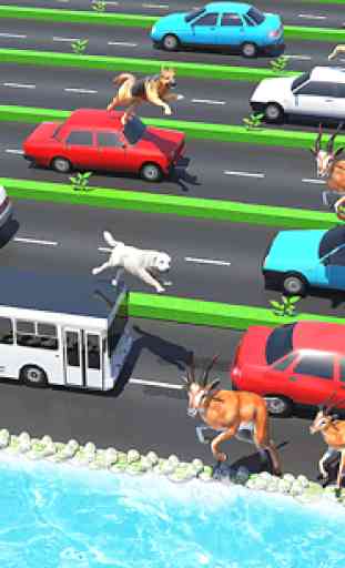 Animal Pets Traffic Highway Cross 1