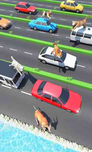 Animal Pets Traffic Highway Cross 3