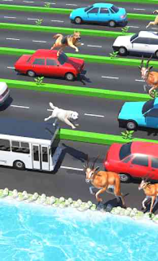 Animal Pets Traffic Highway Cross 4