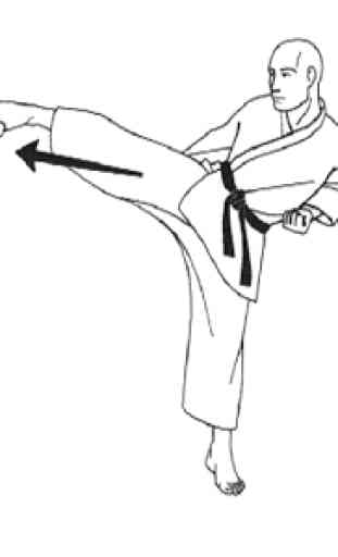 aprenda kung fu 3