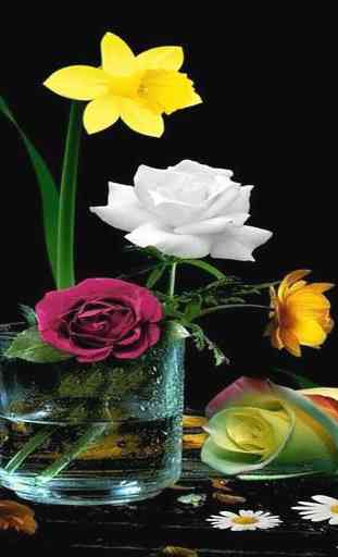 lindas flores & Rose gif 2