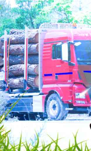 Madeira American Cargo Transporter Truck 3