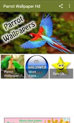 Parrot Wallpaper Hd 1