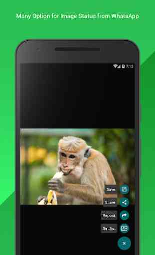 Status Saver for Whatsapp Video and Photos 3