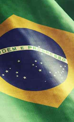 Brazil Flag Wallpaper - Bandeira do Brasil 4