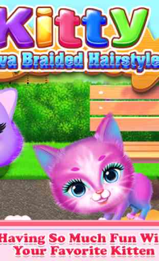 Kitty Diva Braided Hairtyles 1