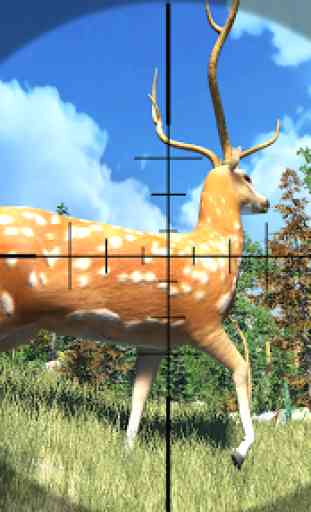 American Hunting 4x4: Deer 1