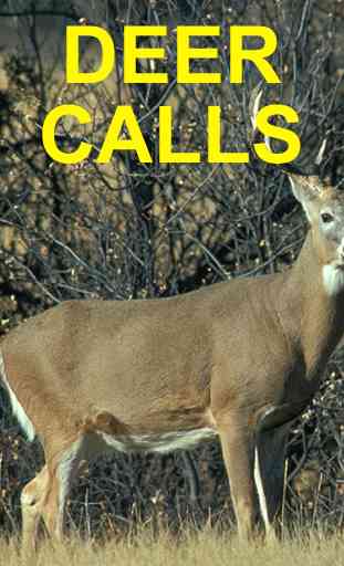 Deer Calls & Deer Hunting Call 1