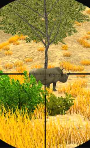 Hunting by 4X4-Safari 1