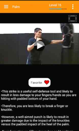 Jeet Kune Do Training - Offline Videos 4