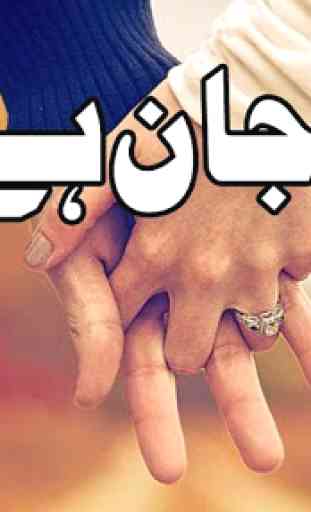 Raag e Jaan Hai Wo Urdu Novel 2