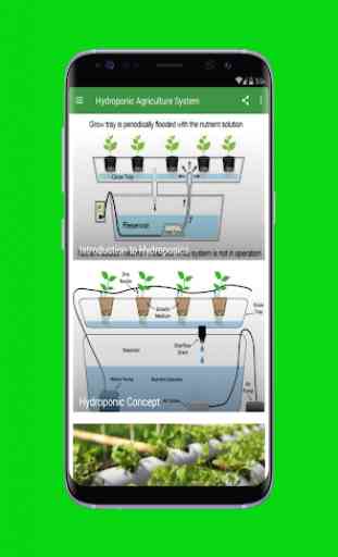 Sistema de agricultura hidropônica 1