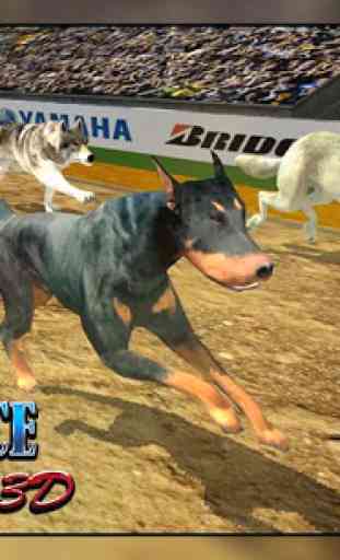 Corrida de cães - simulador de corrida de cães 1