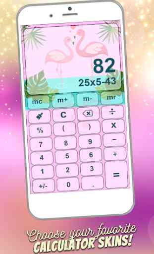 Flamingo Calculadora 3