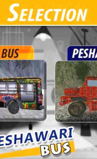 Peshawari Bus & Truck 2