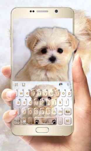 Tema Keyboard Innocent Puppy 1