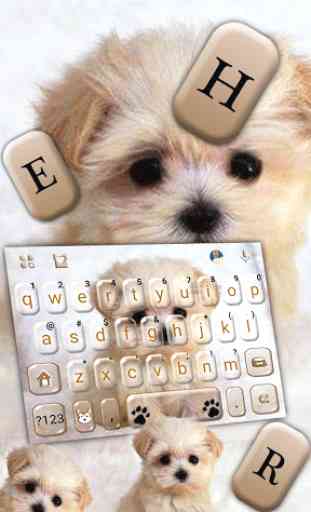 Tema Keyboard Innocent Puppy 2