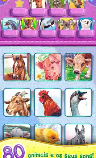 Animal Kingdom for kids! 1