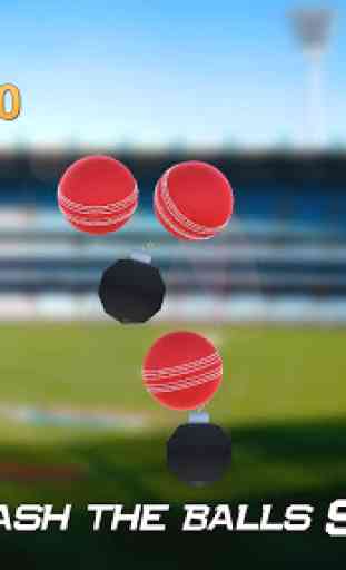 Hit Cricket - Mobile Premier League 1