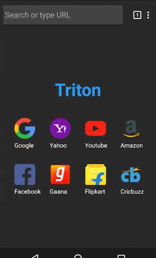 Triton - Mini Web Browser 4