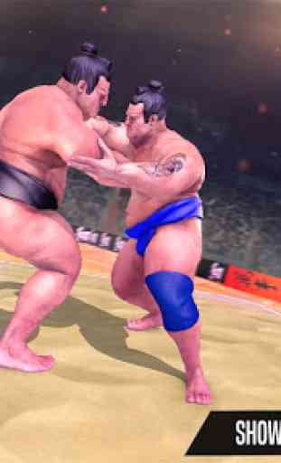 Arena de luta de luta livre de sumô 4