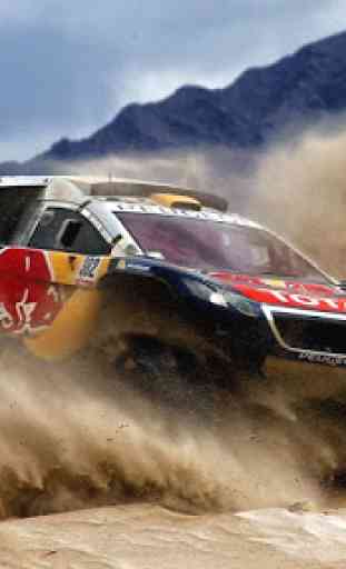 Dakar Rally Wallpaper 2