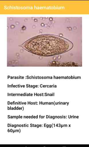 Medical Parasites 3