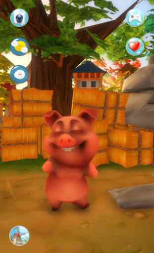 My Talking Pig 3