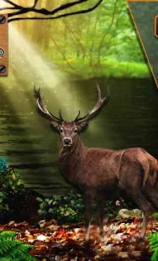 Sniper Deer Hunt:jungle hunt 4