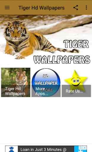 Tiger Hd Wallpapers 1