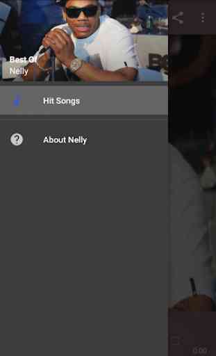 Best Of Nelly (OFFLINE) 2