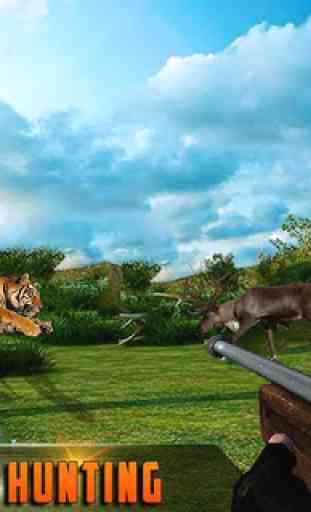 Caça Perito Safari Animal Caçador 1