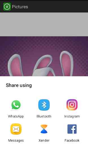 Status Saver for Whatsapp 4